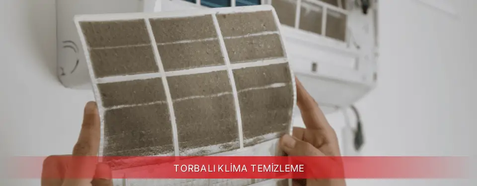 Torbalı İlçemi Finlux Klima Temizleme